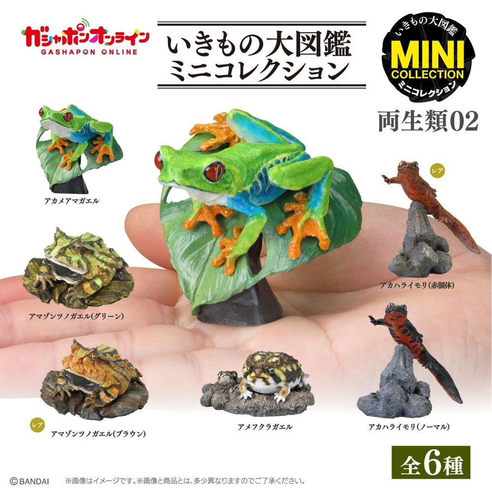 🔥現貨🔥生物大圖鑑 mini 兩棲類02 萬代 扭蛋 轉蛋 兩生類 樹蛙 角蛙 蠑螈 饅頭蛙 青蛙-圖片-1