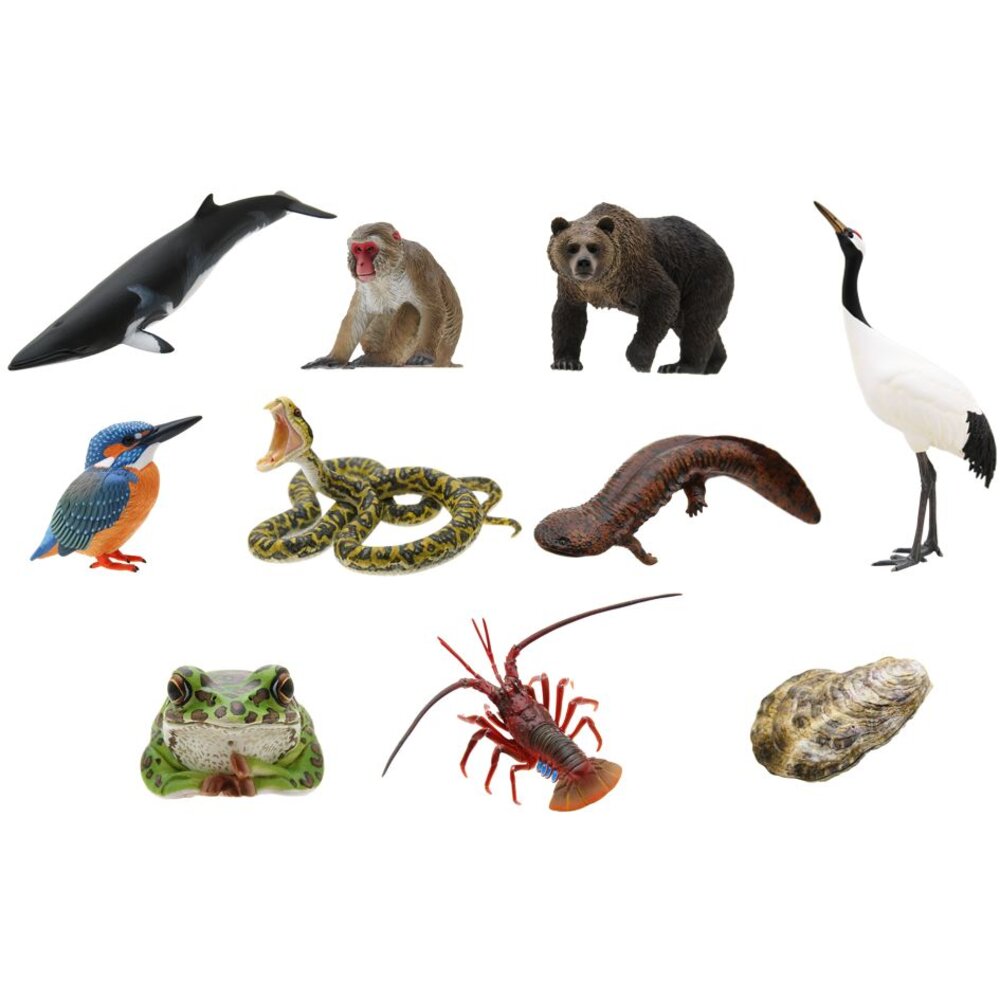 🔥現貨🔥NTC圖鑑 日本的生物01 IKIMON 扭蛋 轉蛋 日本自然生命 龍蝦 丹頂鶴 翠鳥 獼猴-圖片-5