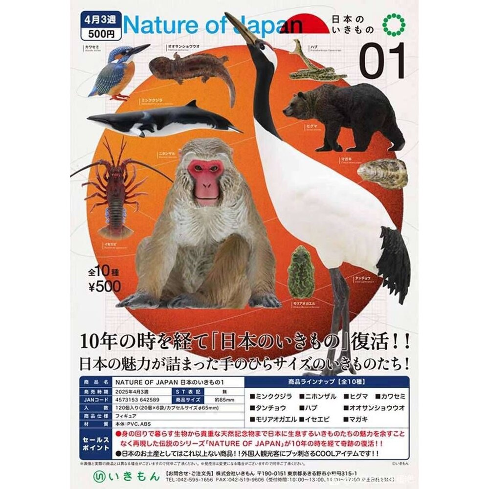 241223021245-🕛4月預購🕛NTC圖鑑 日本的生物01 IKIMON 扭蛋 轉蛋 日本自然生命 龍蝦 丹頂鶴 翠鳥 獼猴