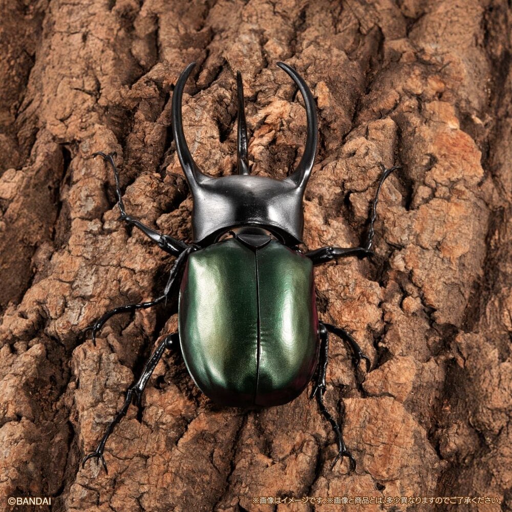 🔥現貨🔥生物大圖鑑 進擊 南洋大兜蟲 萬代 扭蛋 轉蛋 盒玩 advance 高卡薩斯 婆羅洲 高加索 阿特拉斯-圖片-2