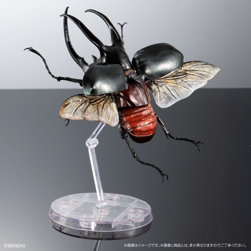 🔥現貨🔥生物大圖鑑 進擊 南洋大兜蟲 萬代 扭蛋 轉蛋 盒玩 advance 高卡薩斯 婆羅洲 高加索 阿特拉斯-圖片-4
