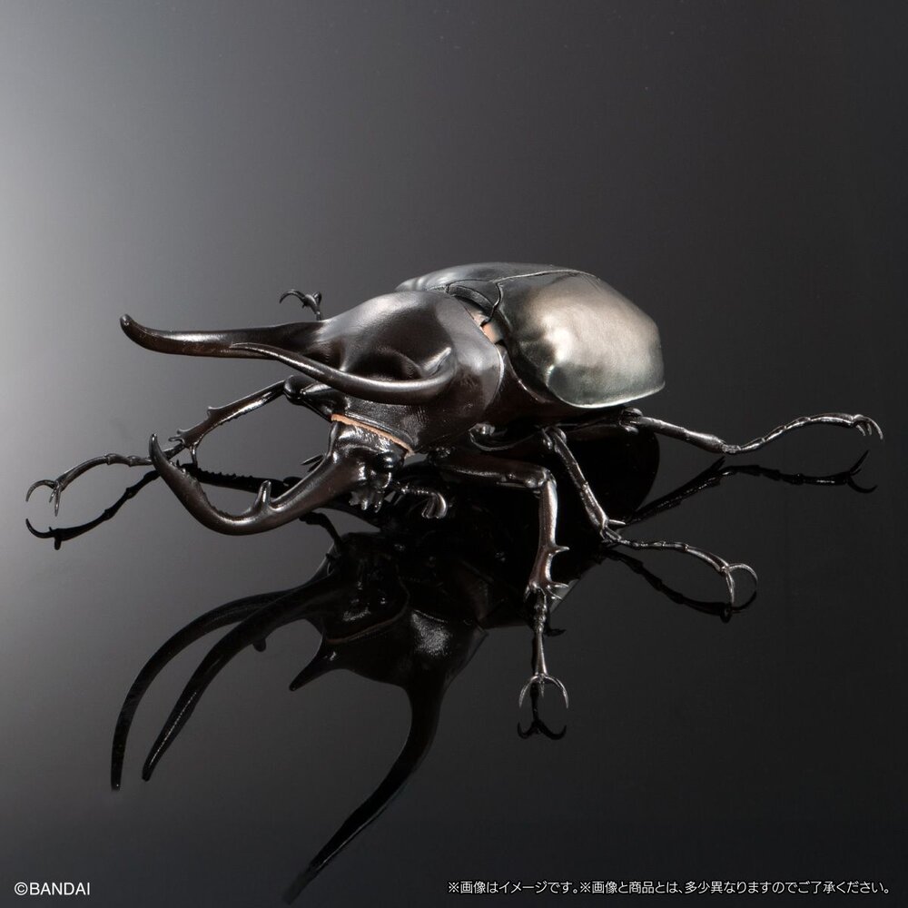 🔥現貨🔥生物大圖鑑 進擊 南洋大兜蟲 萬代 扭蛋 轉蛋 盒玩 advance 高卡薩斯 婆羅洲 高加索 阿特拉斯-圖片-5