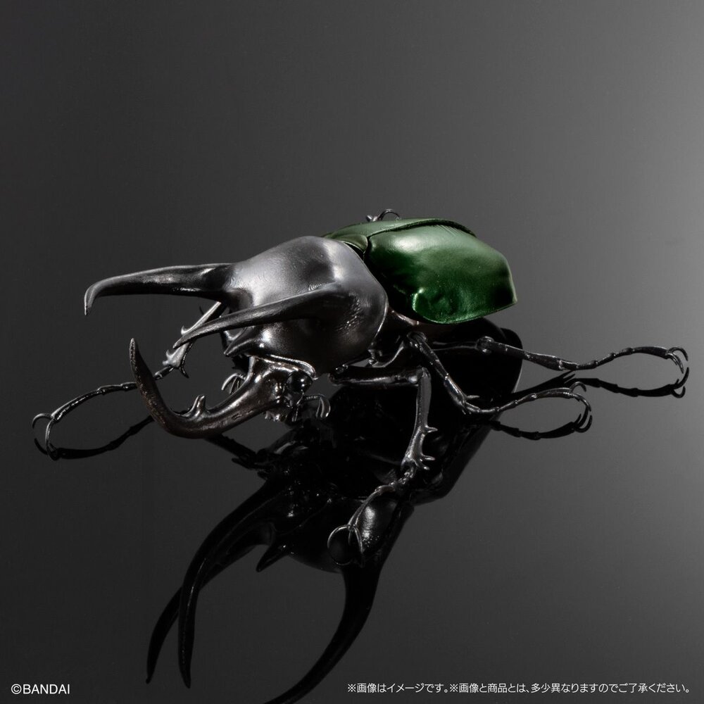 🔥現貨🔥生物大圖鑑 進擊 南洋大兜蟲 萬代 扭蛋 轉蛋 盒玩 advance 高卡薩斯 婆羅洲 高加索 阿特拉斯-圖片-6