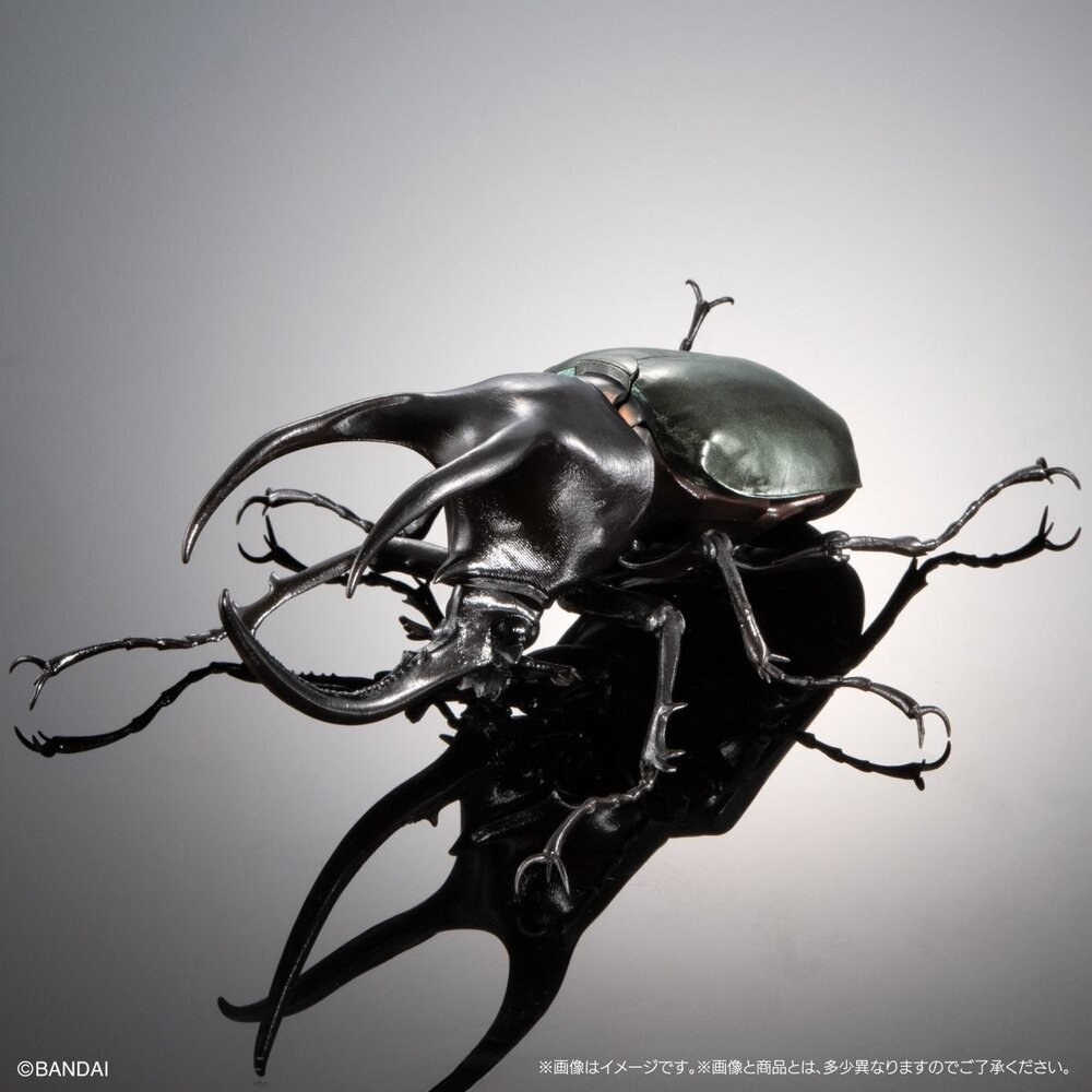 🔥現貨🔥生物大圖鑑 進擊 南洋大兜蟲 萬代 扭蛋 轉蛋 盒玩 advance 高卡薩斯 婆羅洲 高加索 阿特拉斯-圖片-7