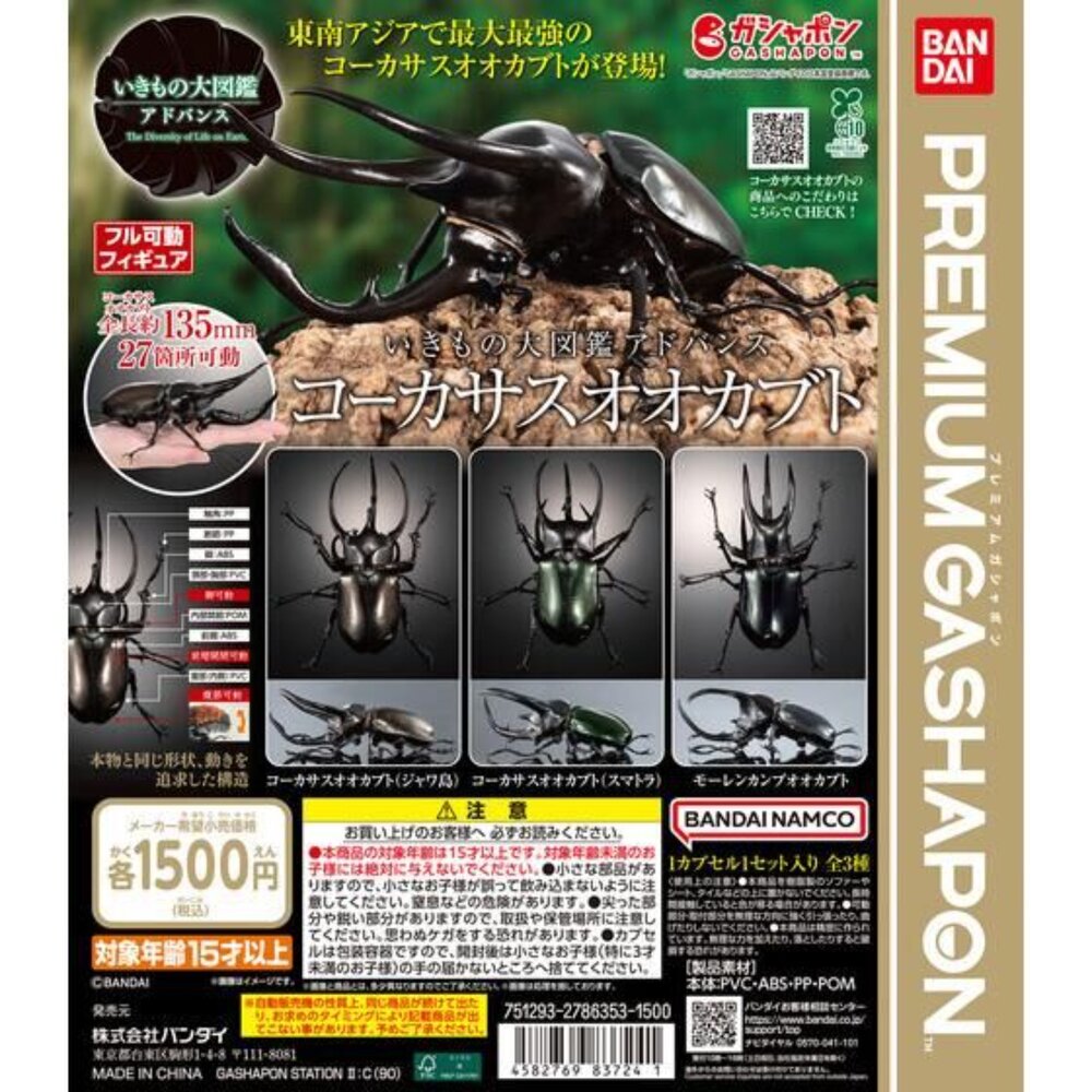 241225192537-🔥現貨🔥生物大圖鑑 進擊 南洋大兜蟲 萬代 扭蛋 轉蛋 盒玩 advance 高卡薩斯 婆羅洲 高加索 阿特拉斯