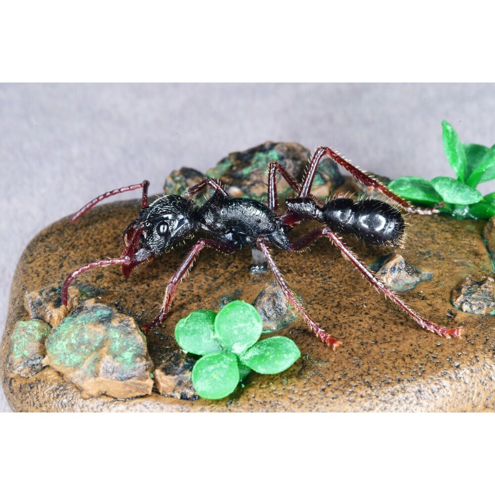 🔥現貨🔥子彈蟻模型 涅槃工作室 甲蟲 昆蟲 擬真模型 擺飾 磁鐵 涅盤 螞蟻涅槃工作室 子彈蟻-圖片-1