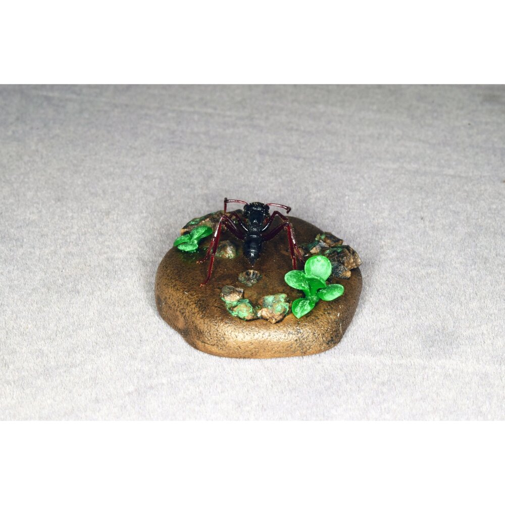 🔥現貨🔥子彈蟻模型 涅槃工作室 甲蟲 昆蟲 擬真模型 擺飾 磁鐵 涅盤 螞蟻涅槃工作室 子彈蟻-圖片-3