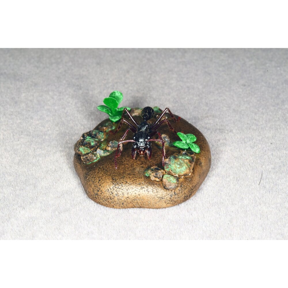 🔥現貨🔥子彈蟻模型 涅槃工作室 甲蟲 昆蟲 擬真模型 擺飾 磁鐵 涅盤 螞蟻涅槃工作室 子彈蟻-圖片-4