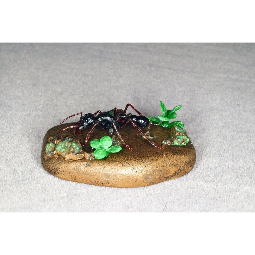 🔥現貨🔥子彈蟻模型 涅槃工作室 甲蟲 昆蟲 擬真模型 擺飾 磁鐵 涅盤 螞蟻涅槃工作室 子彈蟻-圖片-5