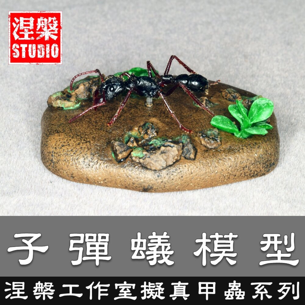 250114001714-🔥現貨🔥子彈蟻模型 涅槃工作室 甲蟲 昆蟲 擬真模型 擺飾 磁鐵 涅盤 螞蟻