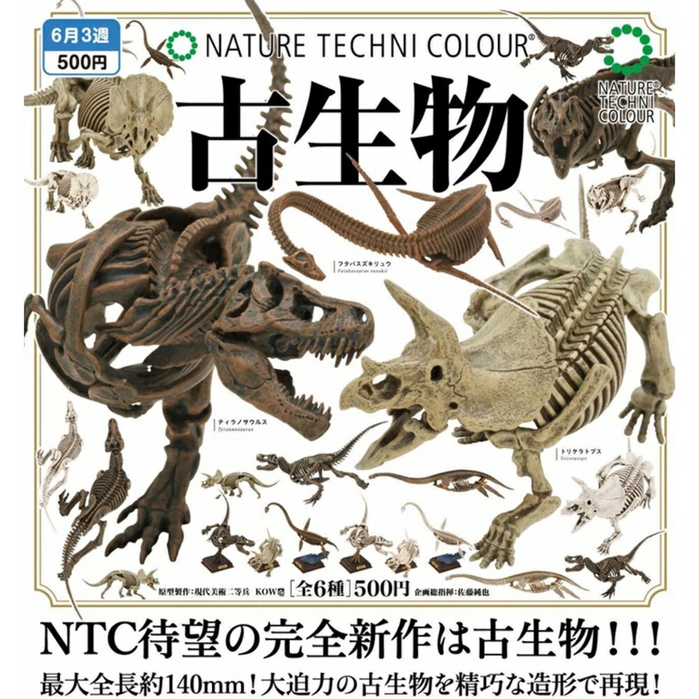 250227033906-🕛6月預購🕛NTC圖鑑 古生物 IKIMON 扭蛋 轉蛋 恐龍化石