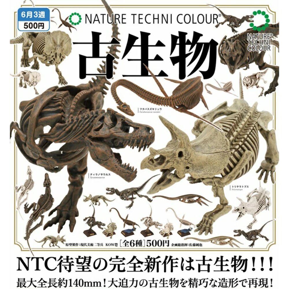 250227033906-🔥現貨🔥NTC圖鑑 古生物 IKIMON 扭蛋 轉蛋 恐龍化石