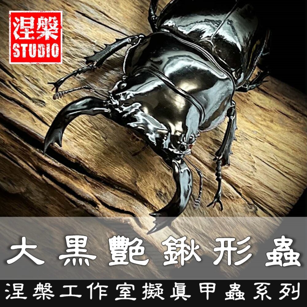 🔥現貨🔥大黑艷鍬形蟲模型涅槃工作室甲蟲昆蟲鍬形蟲擬真模型擺飾磁鐵涅盤