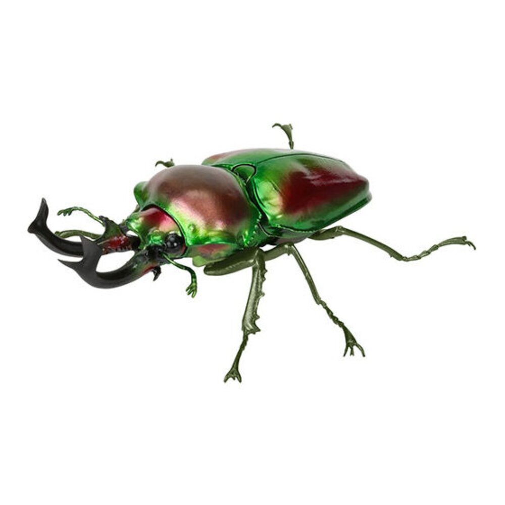 🔥現貨🔥生物大圖鑑 鍬形蟲10 萬代 扭蛋 轉蛋 彩虹鍬形蟲 蟲蛹生物大圖鑑 鍬形蟲 萬代 扭蛋-圖片-2