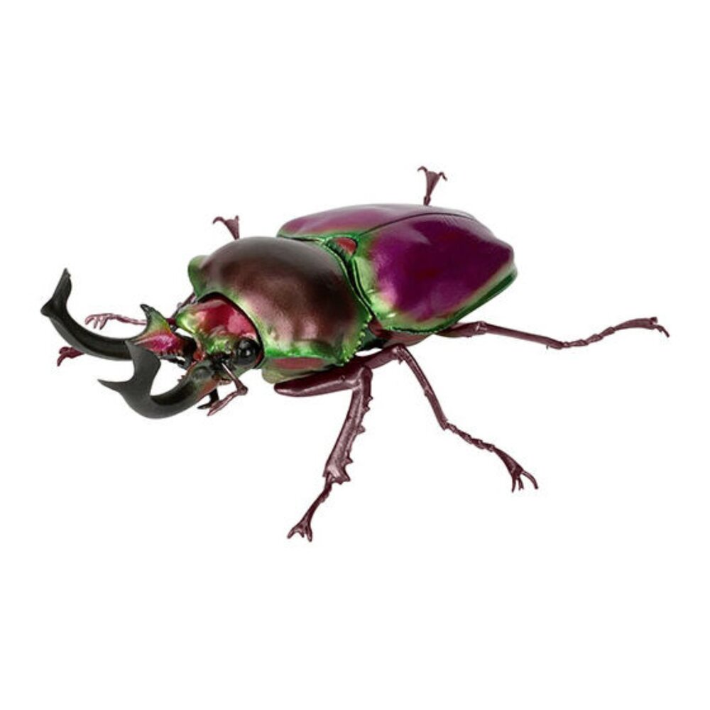 🔥現貨🔥生物大圖鑑 鍬形蟲10 萬代 扭蛋 轉蛋 彩虹鍬形蟲 蟲蛹生物大圖鑑 鍬形蟲 萬代 扭蛋-圖片-3