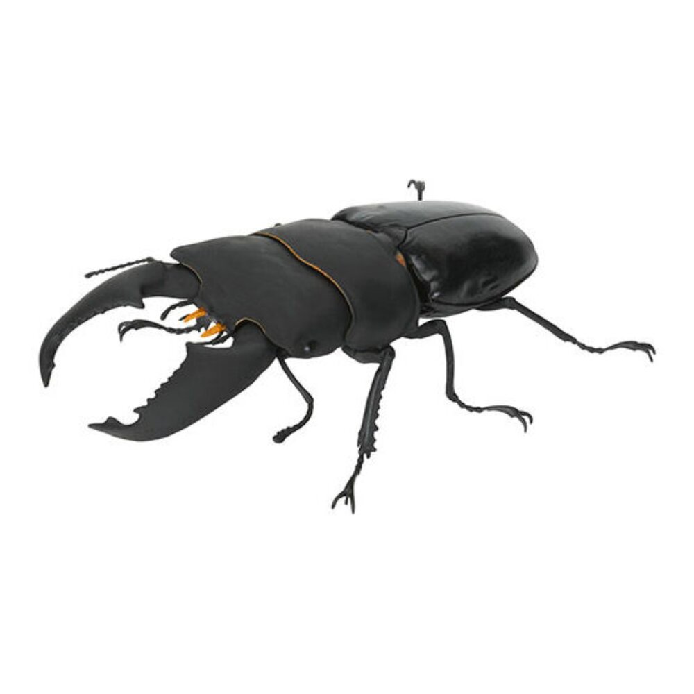 🔥現貨🔥生物大圖鑑 鍬形蟲10 萬代 扭蛋 轉蛋 彩虹鍬形蟲 蟲蛹生物大圖鑑 鍬形蟲 萬代 扭蛋-圖片-4