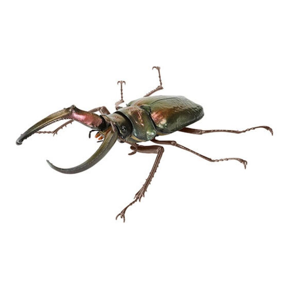 🔥現貨🔥生物大圖鑑 鍬形蟲10 萬代 扭蛋 轉蛋 彩虹鍬形蟲 蟲蛹生物大圖鑑 鍬形蟲 萬代 扭蛋-圖片-6