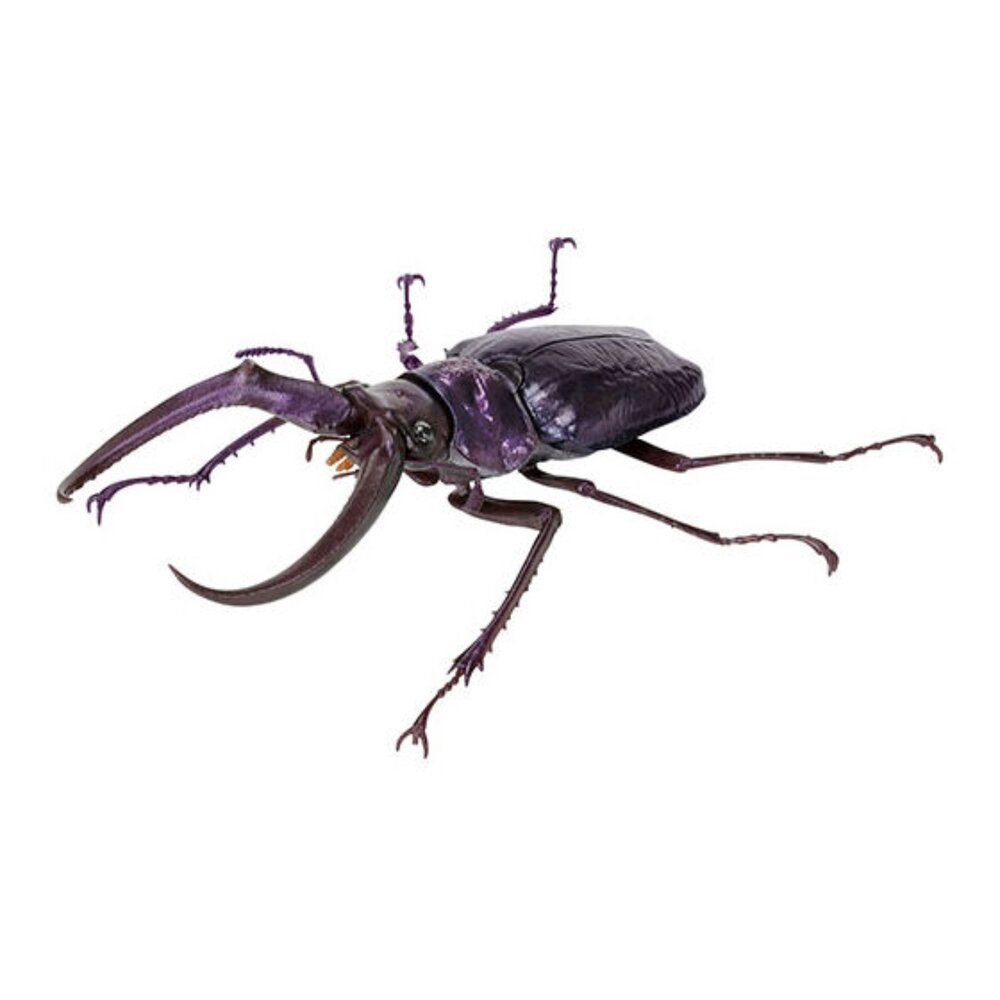 🔥現貨🔥生物大圖鑑 鍬形蟲10 萬代 扭蛋 轉蛋 彩虹鍬形蟲 蟲蛹生物大圖鑑 鍬形蟲 萬代 扭蛋-圖片-7