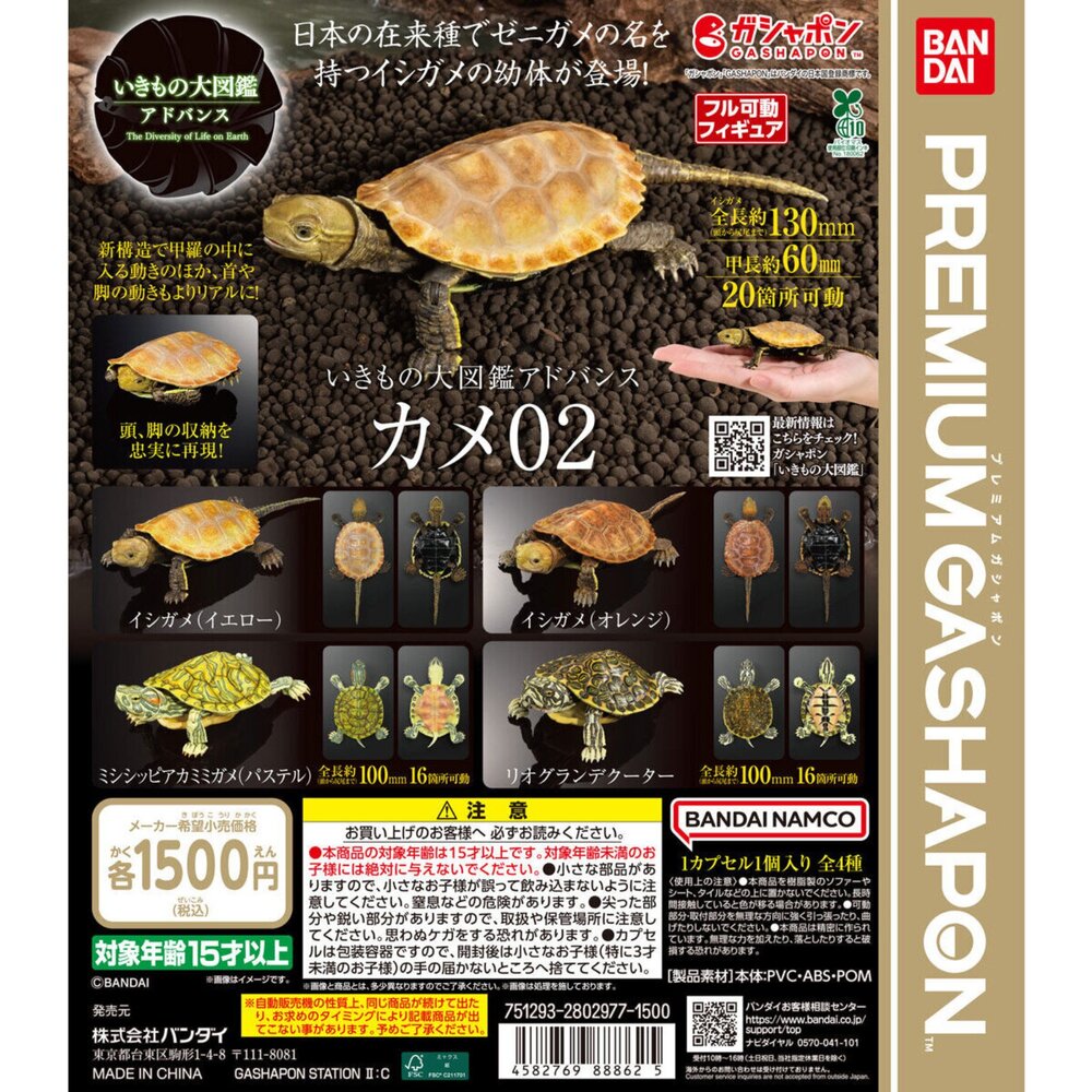 🔥現貨🔥生物大圖鑑 進擊 烏龜02 萬代 扭蛋 轉蛋 Advance 彩龜 紅耳龜 巴西龜生物大圖鑑 烏龜 萬代 扭蛋 封面照片