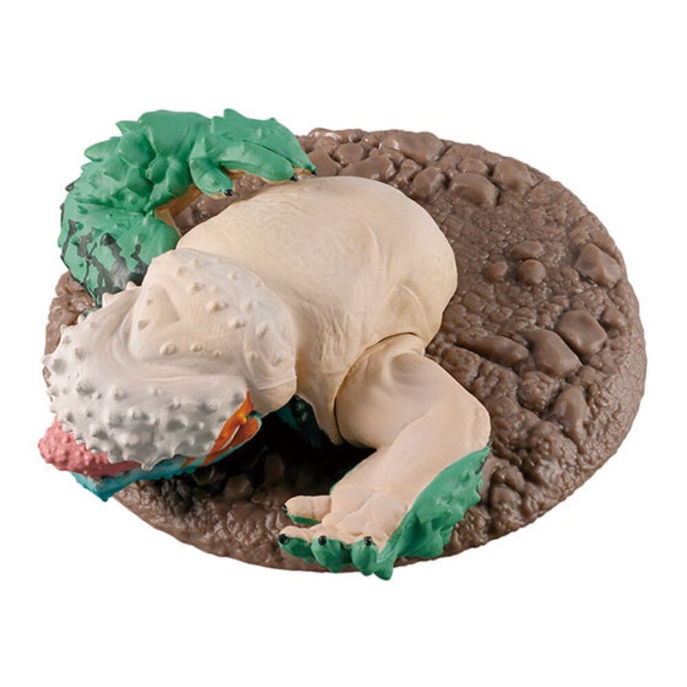 🔥現貨🔥捕獲魔物獵人公仔P4 萬代 扭蛋 轉蛋 荒野 鎖刃龍 陷阱捕獲 魔物獵人 萬代 扭蛋-圖片-4