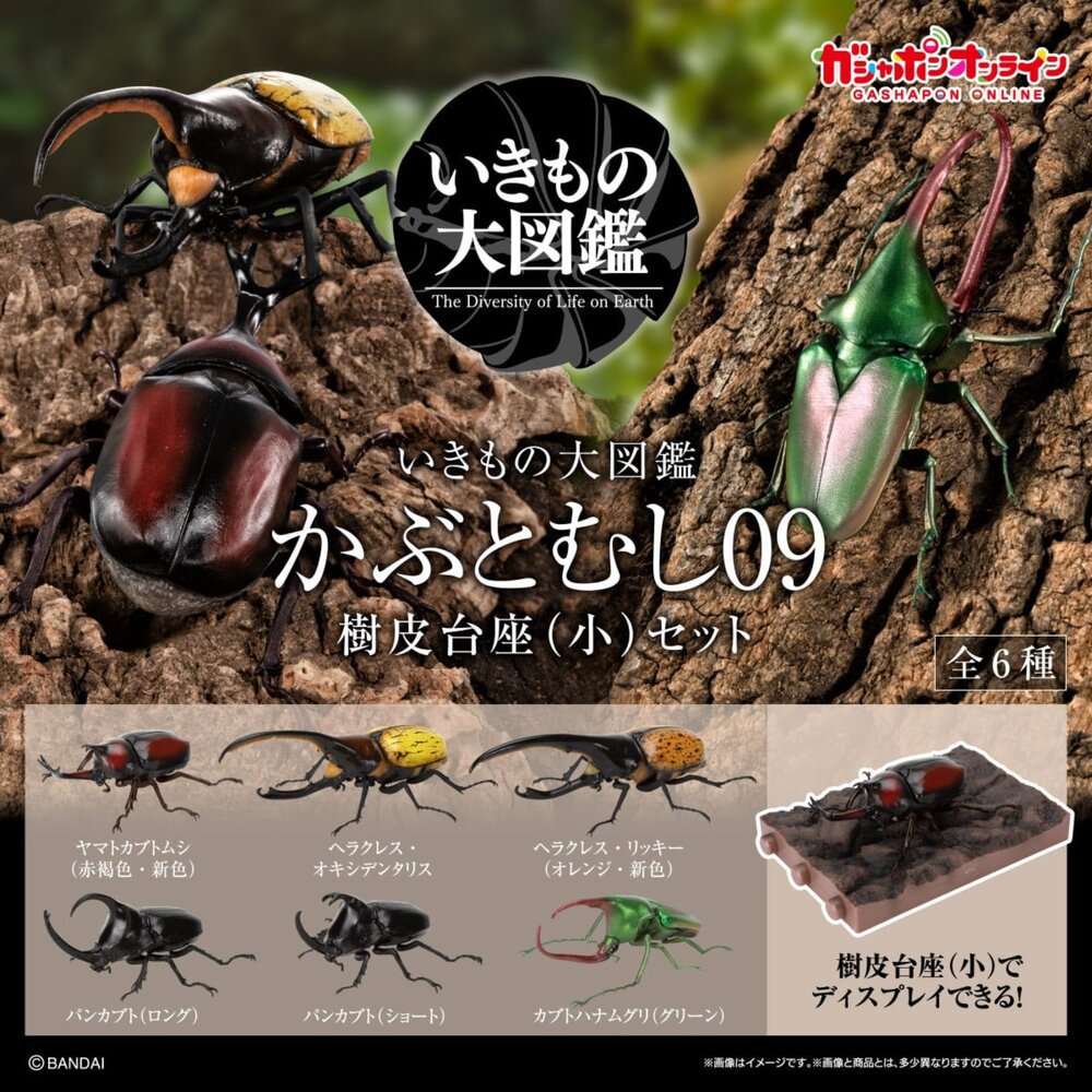 🔥現貨🔥生物大圖鑑 甲蟲09 萬代 扭蛋 轉蛋 獨角仙 大兜蟲 長戟大兜蟲生物大圖鑑 甲蟲 萬代 扭蛋-圖片-1