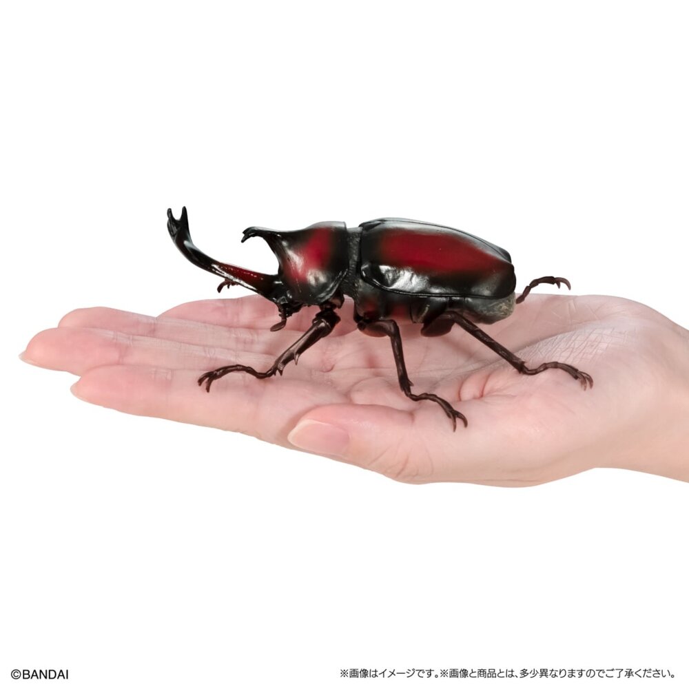 🔥現貨🔥生物大圖鑑 甲蟲09 萬代 扭蛋 轉蛋 獨角仙 大兜蟲 長戟大兜蟲生物大圖鑑 甲蟲 萬代 扭蛋-圖片-2