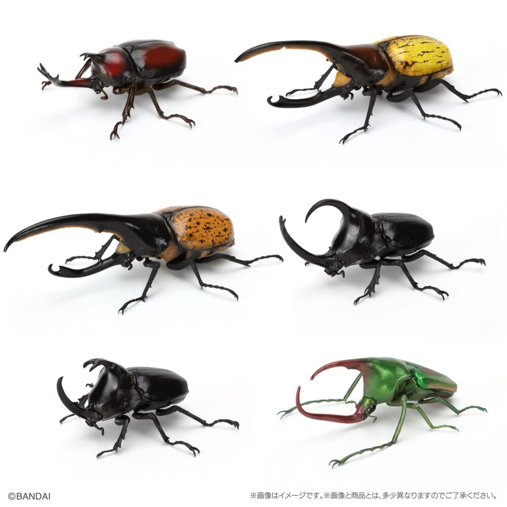 🔥現貨🔥生物大圖鑑 甲蟲09 萬代 扭蛋 轉蛋 獨角仙 大兜蟲 長戟大兜蟲生物大圖鑑 甲蟲 萬代 扭蛋-圖片-4