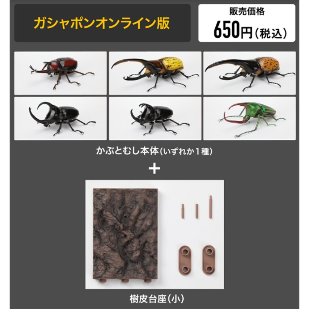 🔥現貨🔥生物大圖鑑 甲蟲09 萬代 扭蛋 轉蛋 獨角仙 大兜蟲 長戟大兜蟲生物大圖鑑 甲蟲 萬代 扭蛋-圖片-5