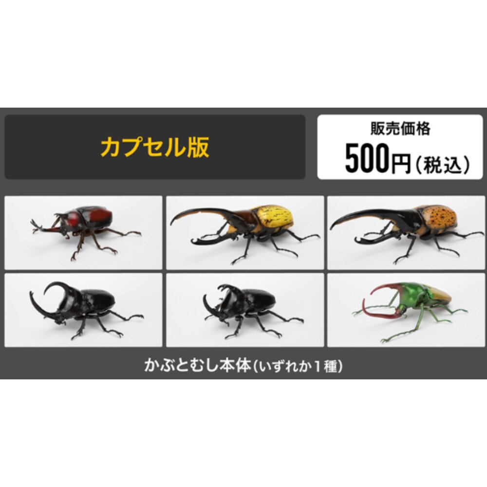 🔥現貨🔥生物大圖鑑 甲蟲09 萬代 扭蛋 轉蛋 獨角仙 大兜蟲 長戟大兜蟲生物大圖鑑 甲蟲 萬代 扭蛋-圖片-6