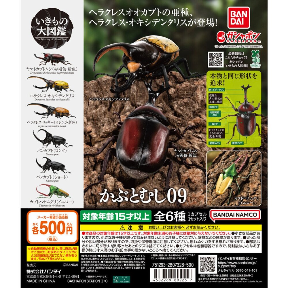 🔥現貨🔥生物大圖鑑 甲蟲09 萬代 扭蛋 轉蛋 獨角仙 大兜蟲 長戟大兜蟲生物大圖鑑 甲蟲 萬代 扭蛋 封面照片