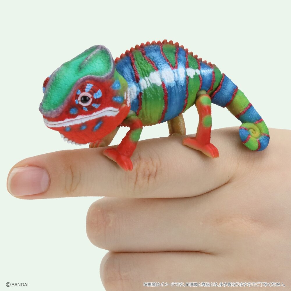 🔥現貨🔥生物大圖鑑 Repti 變色龍 萬代 扭蛋 轉蛋 傑克森變色龍 七彩變色龍 迷你變色龍生物大圖鑑 變色龍 萬代-圖片-2