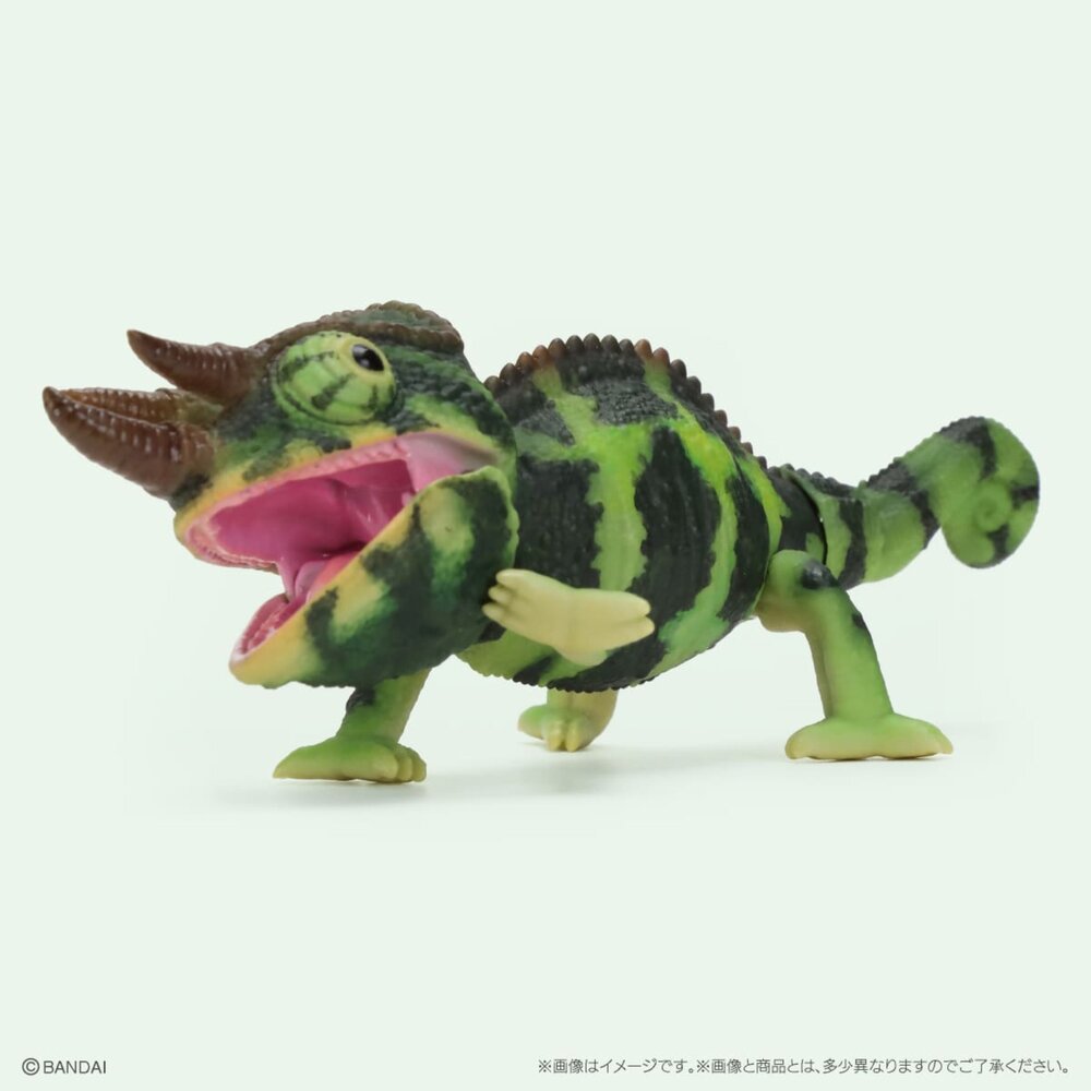 🔥現貨🔥生物大圖鑑 Repti 變色龍 萬代 扭蛋 轉蛋 傑克森變色龍 七彩變色龍 迷你變色龍生物大圖鑑 變色龍 萬代-圖片-3