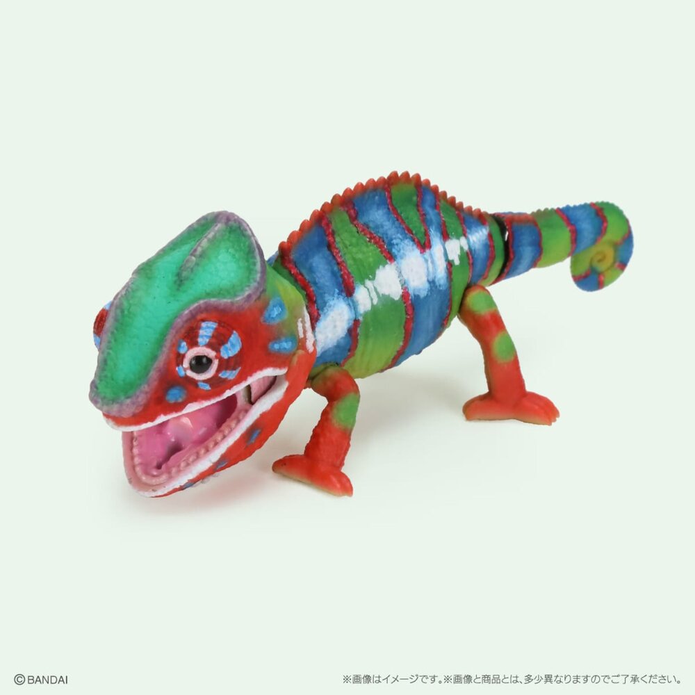 🕛9月預購🕛生物大圖鑑 Repti 變色龍 萬代 扭蛋 轉蛋 傑克森變色龍 七彩變色龍 迷你變色龍生物大圖鑑 變色龍-圖片-4