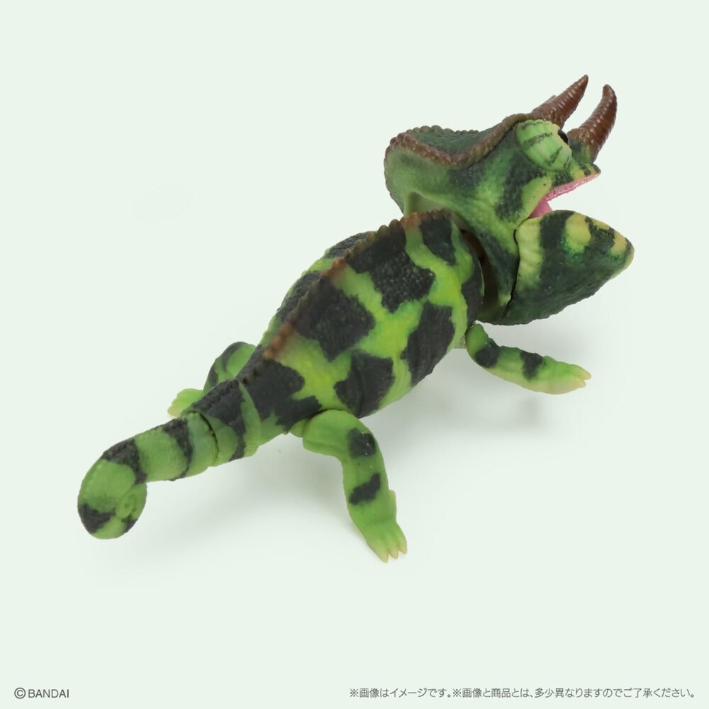 🕛9月預購🕛生物大圖鑑 Repti 變色龍 萬代 扭蛋 轉蛋 傑克森變色龍 七彩變色龍 迷你變色龍生物大圖鑑 變色龍-圖片-5