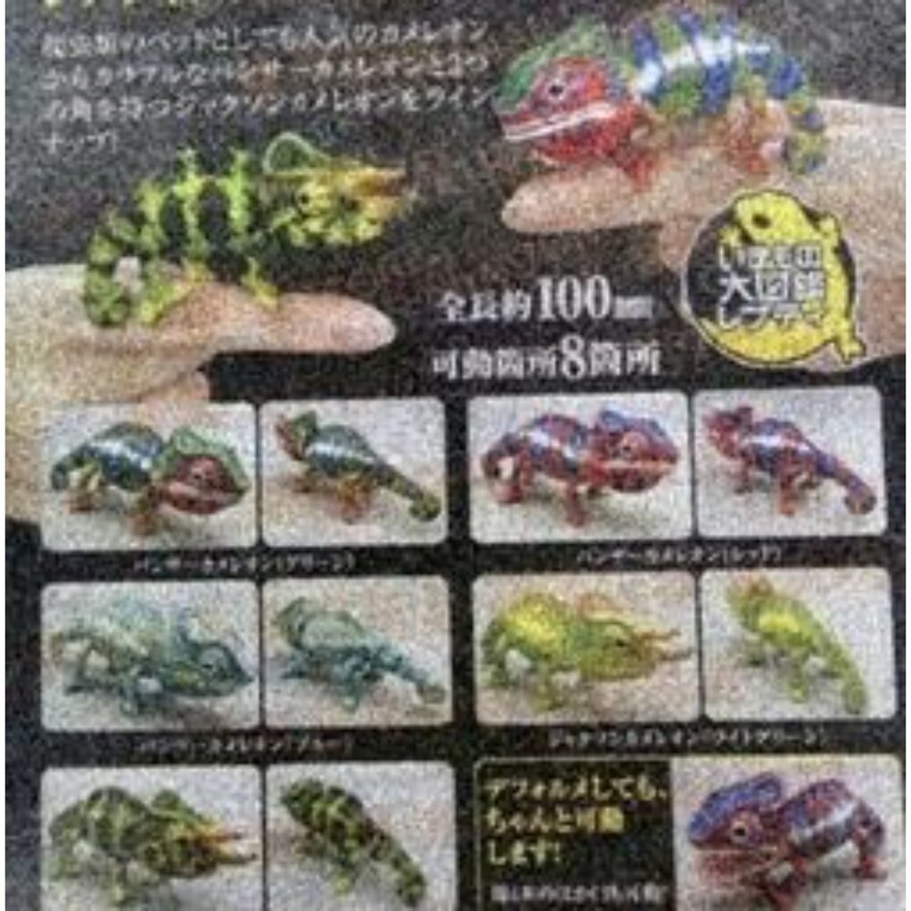 250605194014-🕛9月預購🕛生物大圖鑑 Repti 變色龍 萬代 扭蛋 轉蛋 傑克森變色龍 七彩變色龍 迷你變色龍