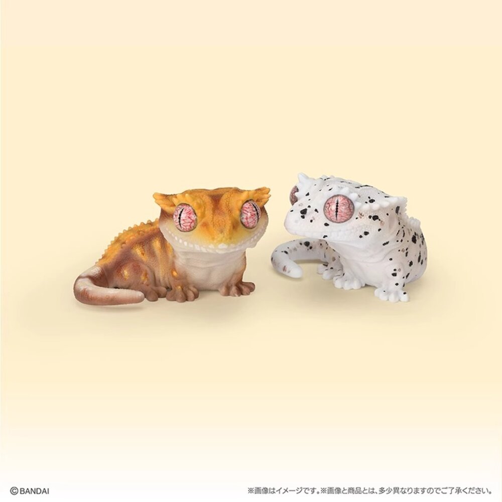 🔥現貨🔥生物大圖鑑軟膠公仔 豹紋壁虎與睫角守宮 萬代 扭蛋 轉蛋 大球 90mm生物大圖鑑 軟膠 守宮 萬代 扭蛋-圖片-1
