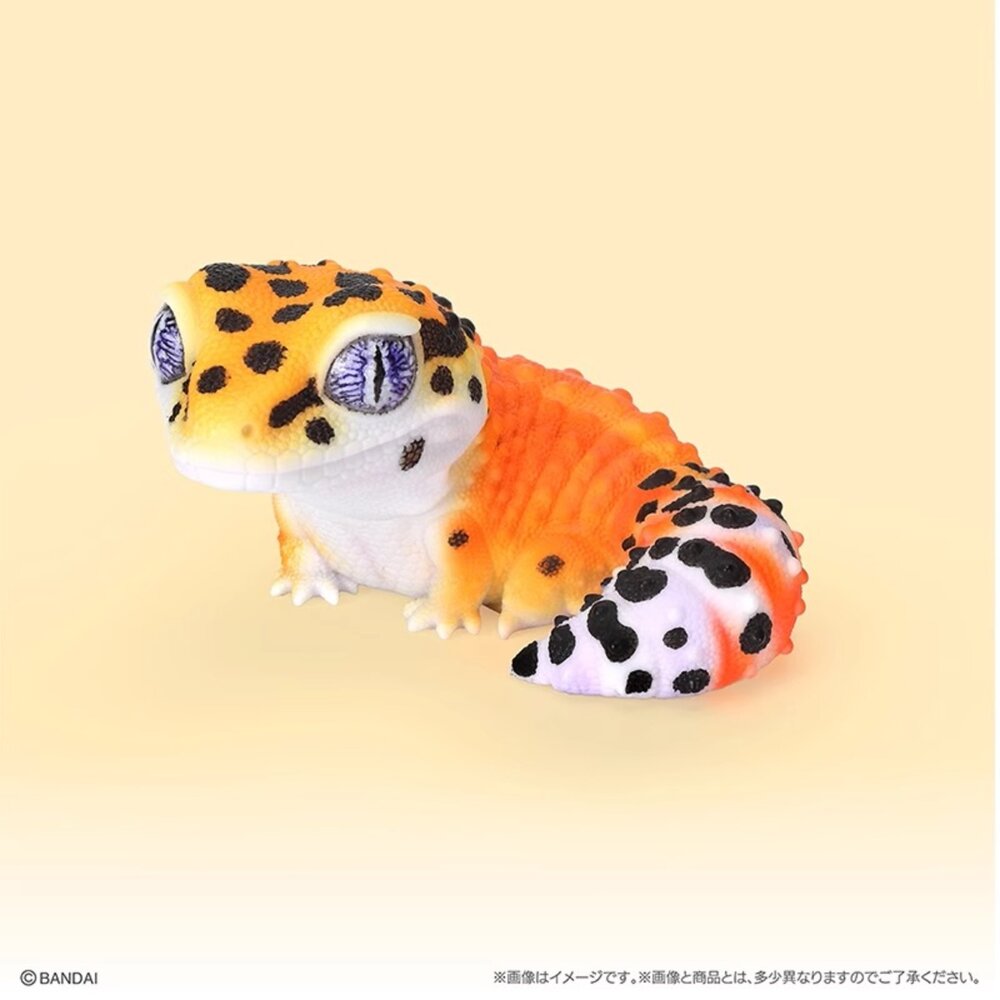 🔥現貨🔥生物大圖鑑軟膠公仔 豹紋壁虎與睫角守宮 萬代 扭蛋 轉蛋 大球 90mm生物大圖鑑 軟膠 守宮 萬代 扭蛋-圖片-3