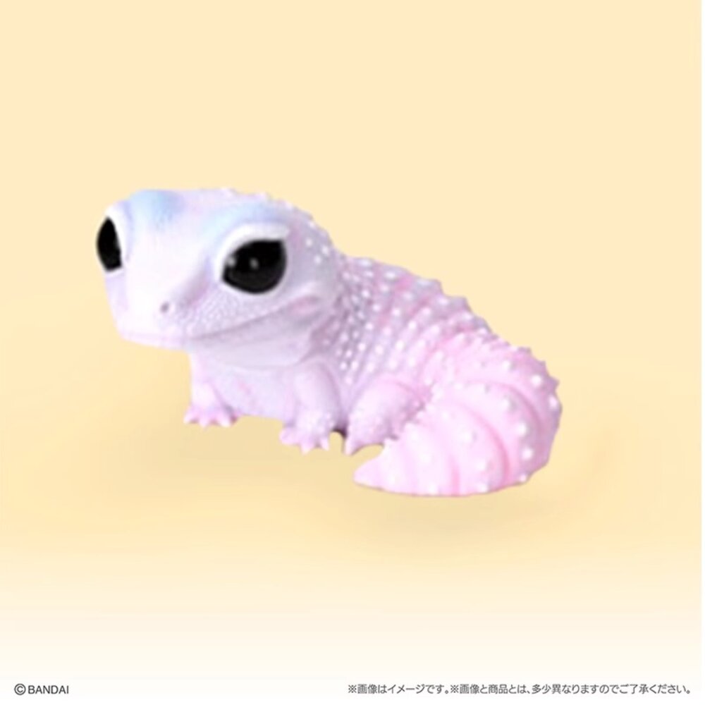 🕛9月預購🕛生物大圖鑑軟膠公仔 豹紋壁虎與睫角守宮 萬代 扭蛋 轉蛋 大球 90mm生物大圖鑑 軟膠 守宮 萬代 扭蛋-圖片-4