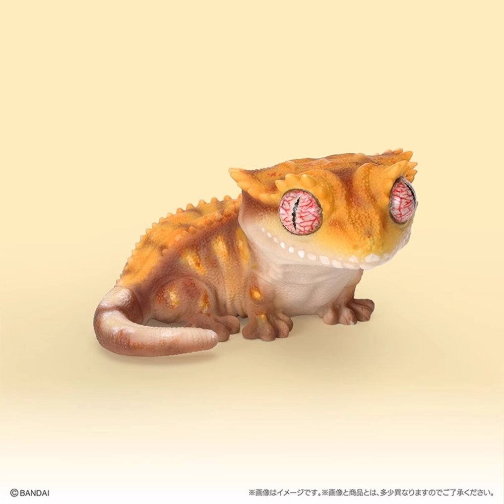 🔥現貨🔥生物大圖鑑軟膠公仔 豹紋壁虎與睫角守宮 萬代 扭蛋 轉蛋 大球 90mm生物大圖鑑 軟膠 守宮 萬代 扭蛋-圖片-5