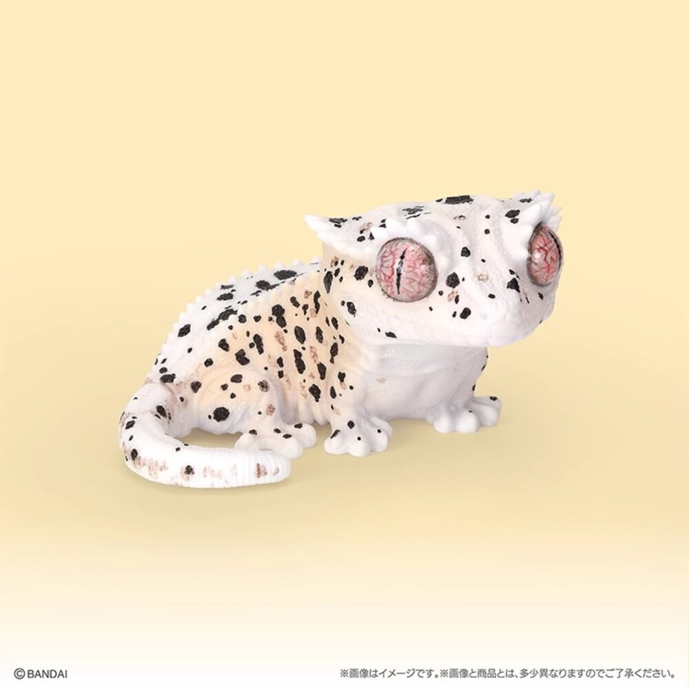 🔥現貨🔥生物大圖鑑軟膠公仔 豹紋壁虎與睫角守宮 萬代 扭蛋 轉蛋 大球 90mm生物大圖鑑 軟膠 守宮 萬代 扭蛋-圖片-6