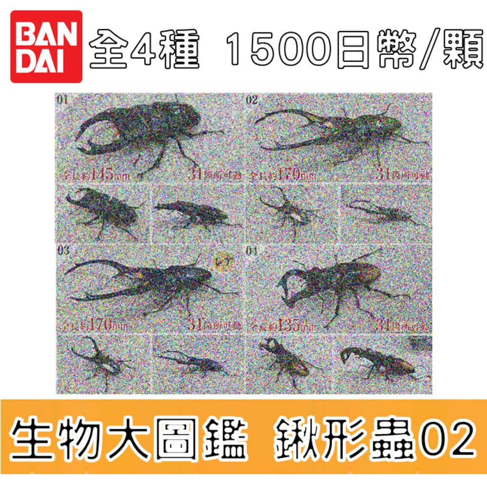 250709205928-🕛10月預購🕛生物大圖鑑 進擊 鍬形蟲02 萬代 扭蛋 轉蛋 advance 紅鹿