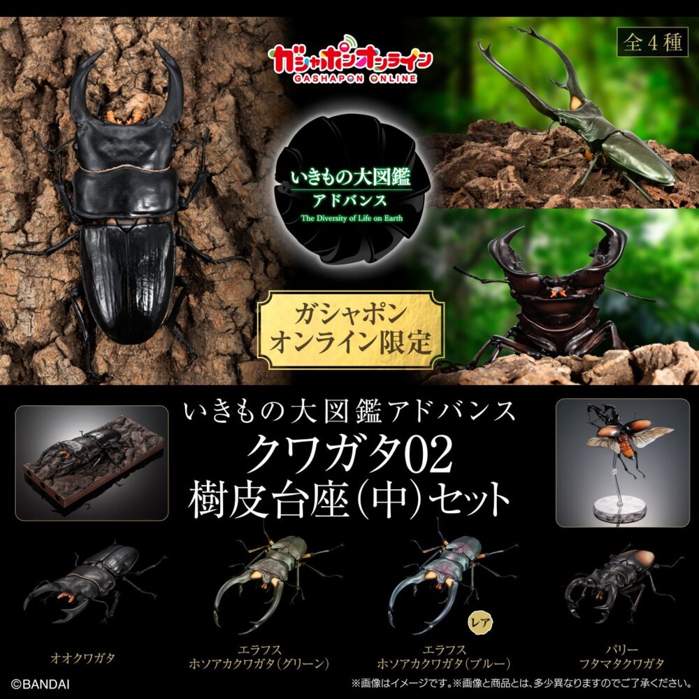 250709205928-🕛10月預購🕛生物大圖鑑 進擊 鍬形蟲02 萬代 扭蛋 轉蛋 advance 紅鹿