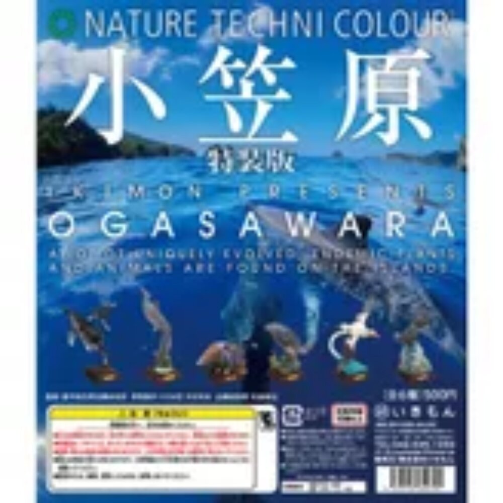 🔥現貨🔥NTC圖鑑 小笠原特裝版 IKIMON 扭蛋 轉蛋-圖片-1