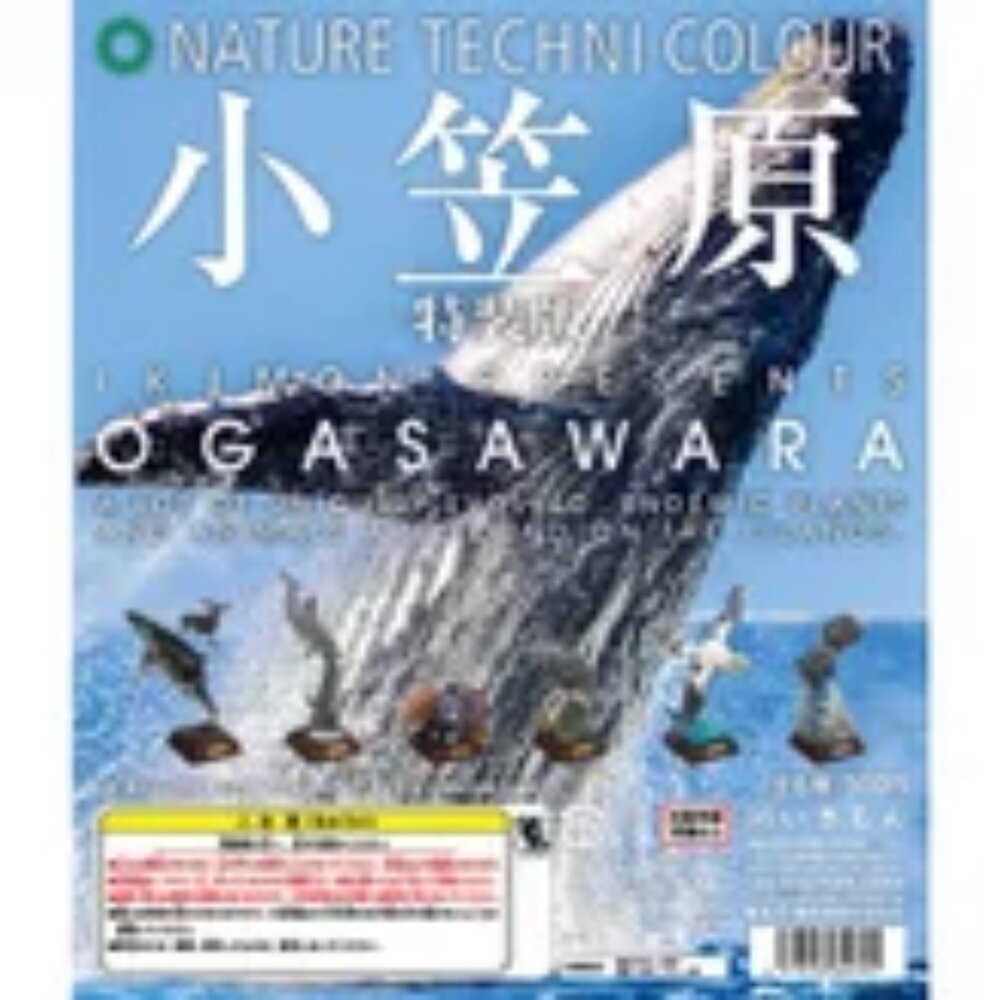 🔥現貨🔥NTC圖鑑 小笠原特裝版 IKIMON 扭蛋 轉蛋-圖片-2