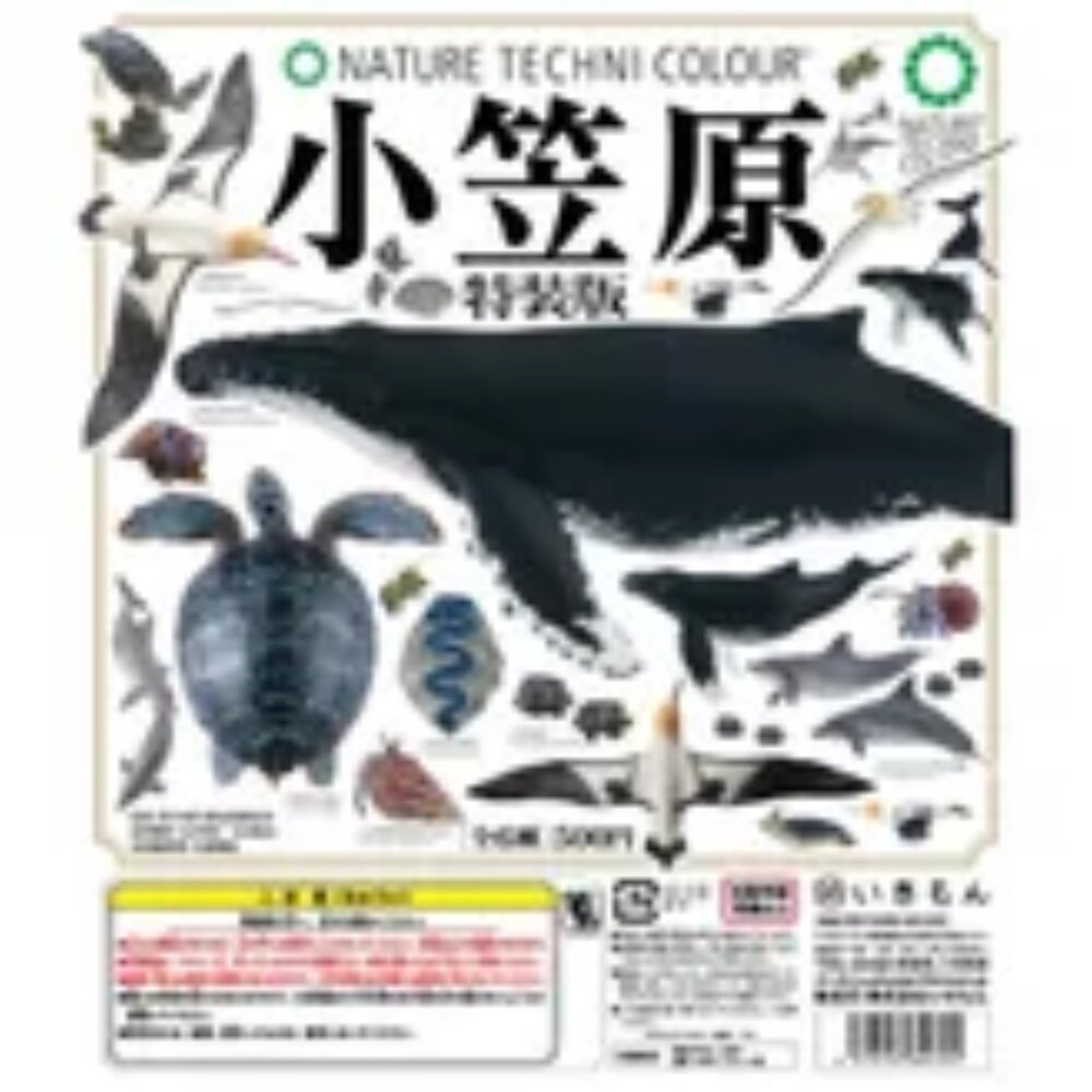 🔥現貨🔥NTC圖鑑 小笠原特裝版 IKIMON 扭蛋 轉蛋-圖片-3