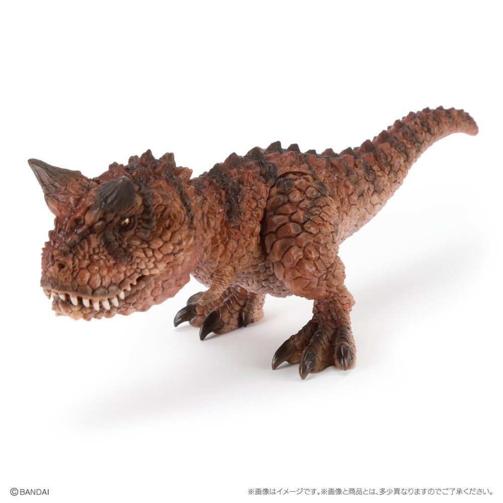 🔥現貨🔥生物大圖鑑 Repti 恐龍P4 萬代 扭蛋 轉蛋 小恐龍 滄龍生物大圖鑑 Repti 恐龍 萬代 扭蛋-圖片-3