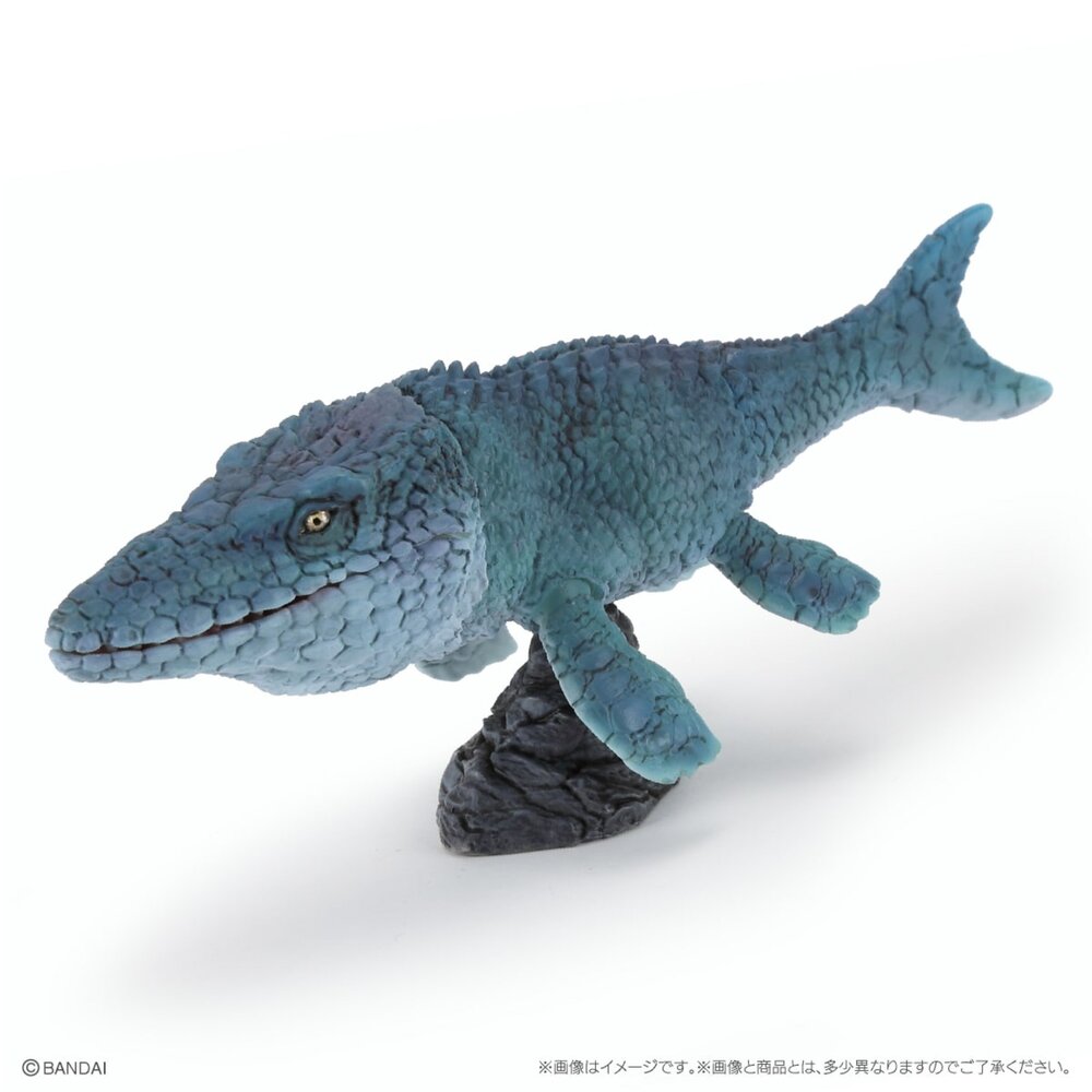 🕛2月預購🕛生物大圖鑑 Repti 恐龍P4 萬代 扭蛋 轉蛋 小恐龍 滄龍生物大圖鑑 Repti 恐龍 萬代 扭蛋-圖片-5