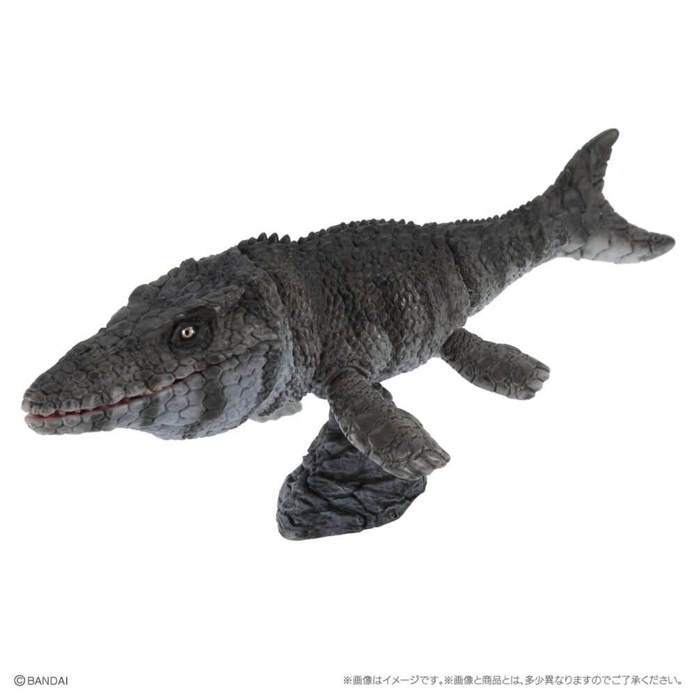 🕛2月預購🕛生物大圖鑑 Repti 恐龍P4 萬代 扭蛋 轉蛋 小恐龍 滄龍生物大圖鑑 Repti 恐龍 萬代 扭蛋-圖片-6