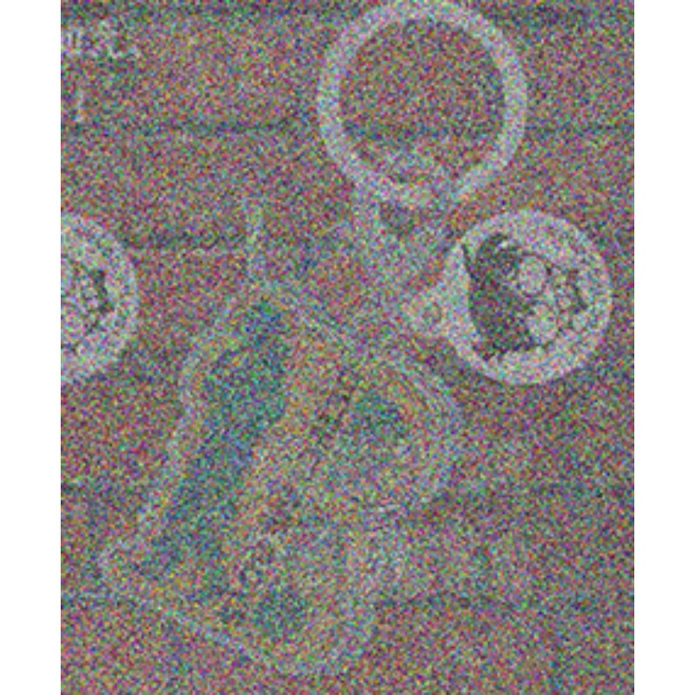 🕛3月預購🕛名偵探柯南角色造型吊飾P3 萬代 扭蛋 轉蛋 雨傘吊飾名偵探柯南 雨傘吊飾 萬代 扭蛋-圖片-6