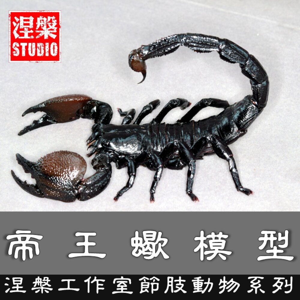 260121164122-🔥現貨🔥帝王蠍模型 涅槃工作室 節肢動物 蠍子 擬真模型 擺飾 磁鐵 涅盤